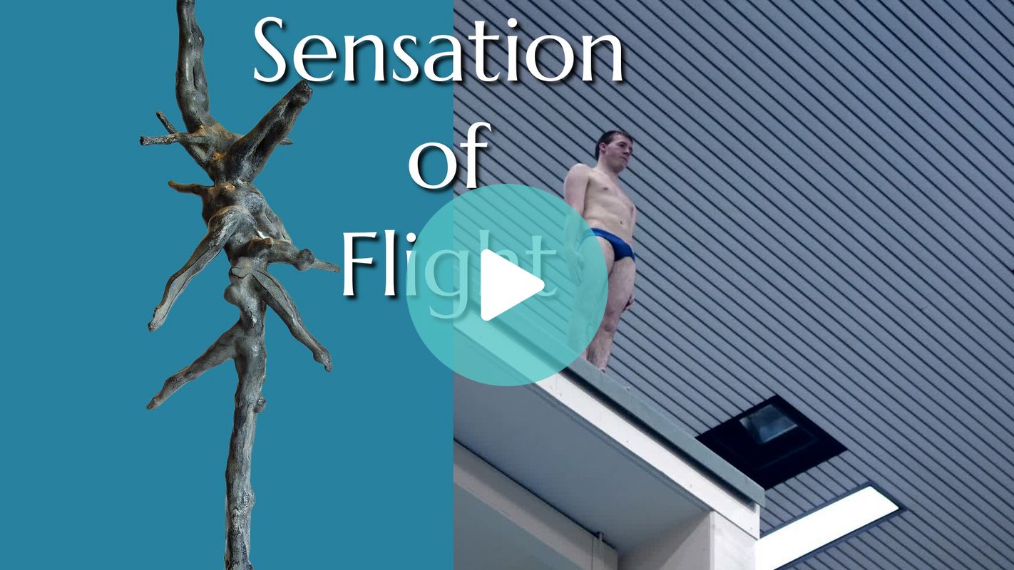 The sensation of flight